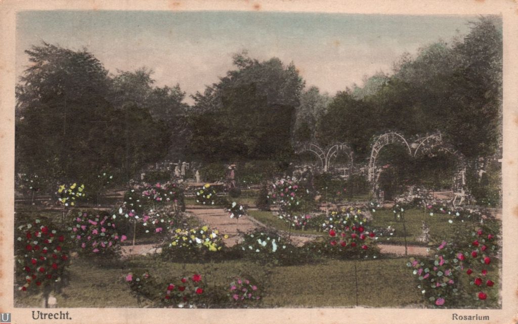 ansichtkaart rosarium