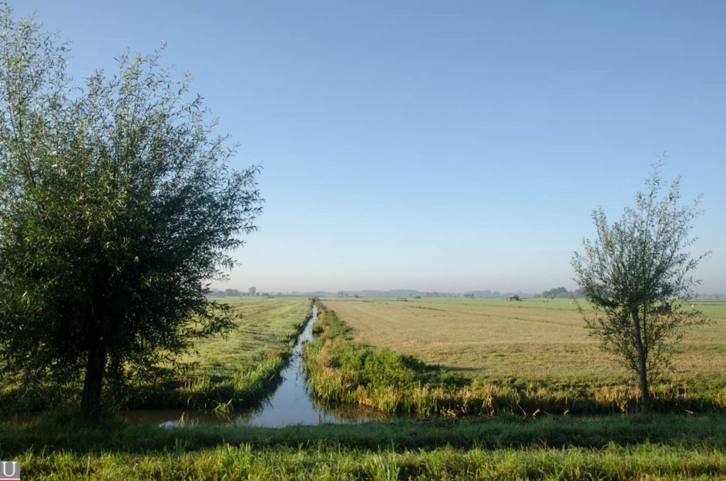 Heycopperkade, polder Rijnenburg