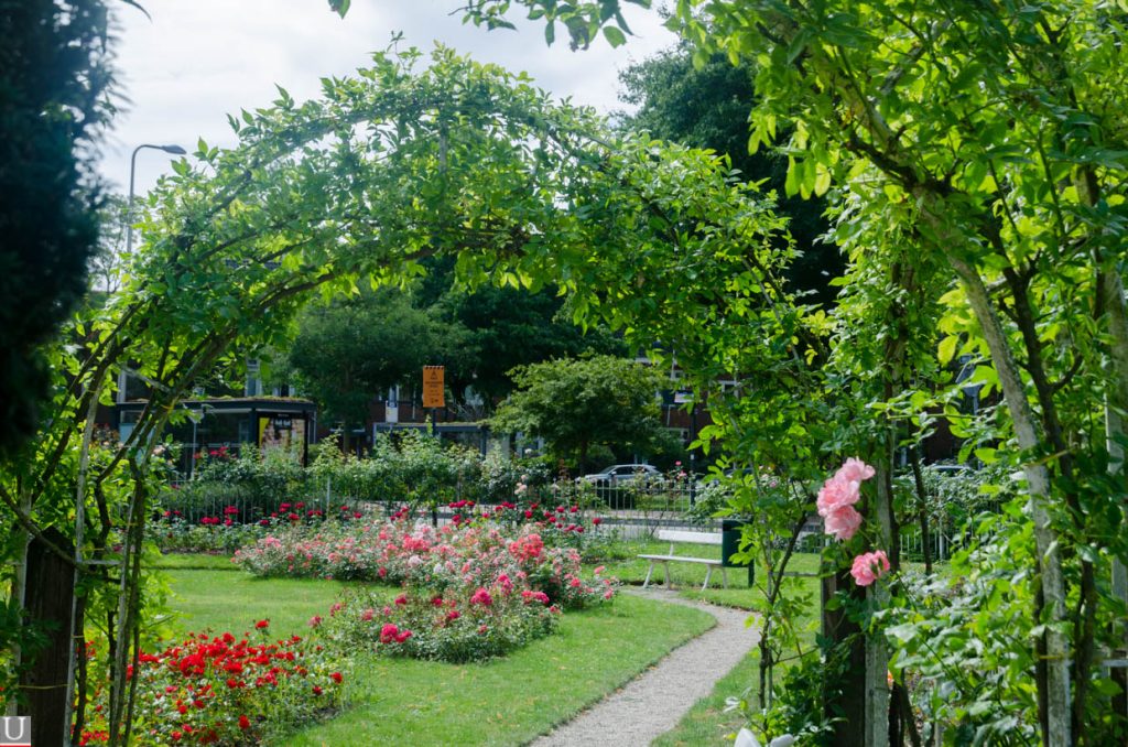 rosarium